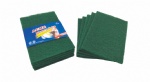 SCOURING PAD